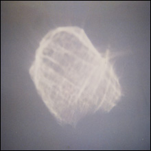 Benoit Pioulard - Temper