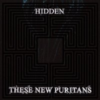 These New Puritans